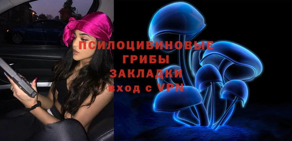 индика Елизово