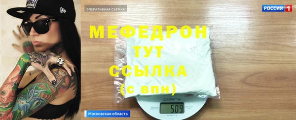 индика Елизово