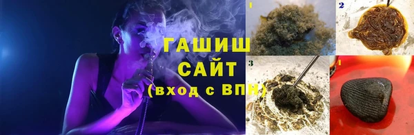 индика Елизово