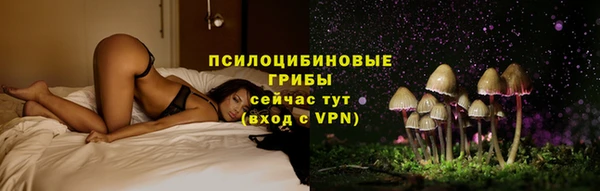 индика Елизово