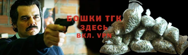 кокс Ельня