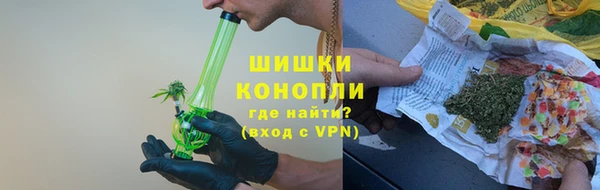 индика Елизово