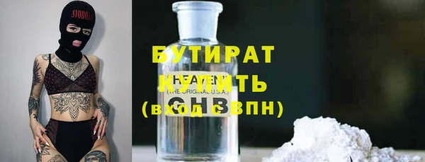 индика Елизово