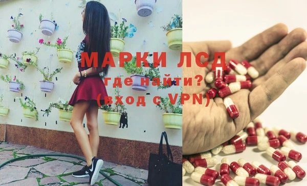 индика Елизово