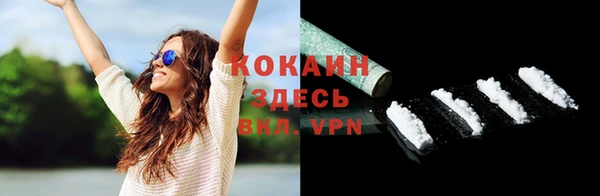 кокс Ельня