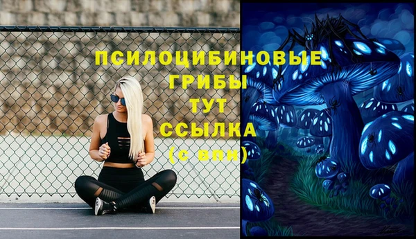кокс Ельня