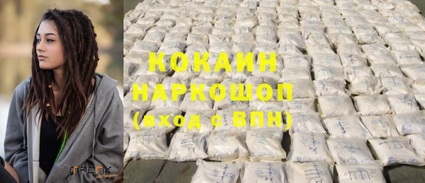 кокс Ельня
