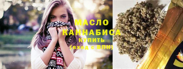индика Елизово