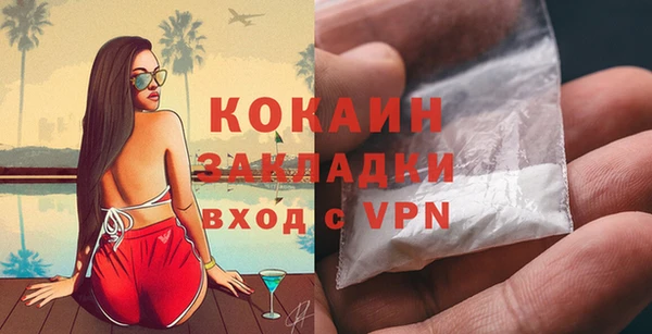 кокс Ельня
