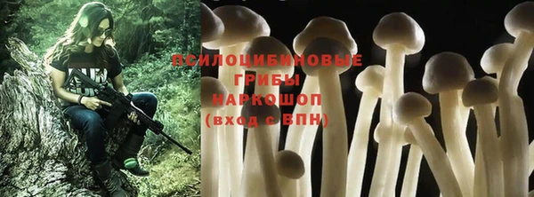 spice Елабуга