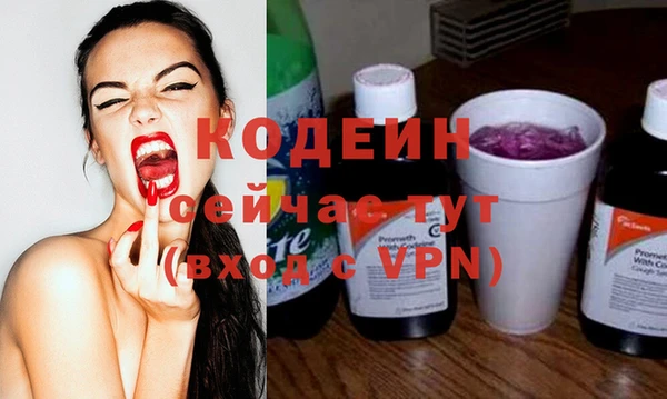 индика Елизово