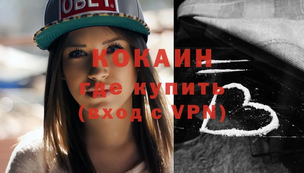 индика Елизово