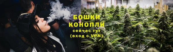 индика Елизово