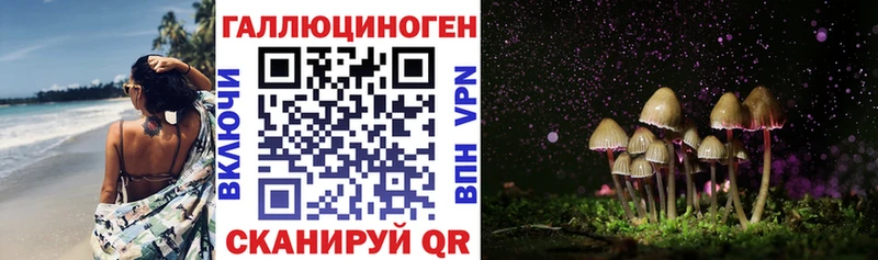 Галлюциногенные грибы Cubensis  Купить закладки  Калининск 