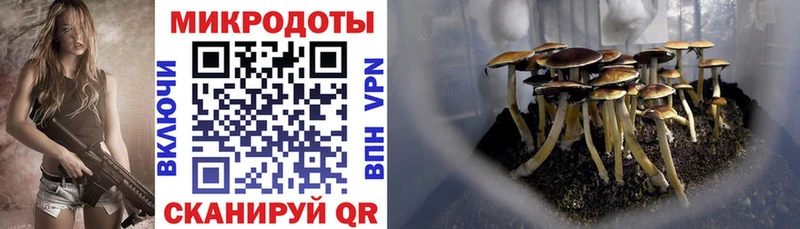 Псилоцибиновые грибы MAGIC MUSHROOMS Калининск